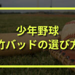 少年野球の竹バッドの効果と選び方｜おすすめの竹バットも紹介